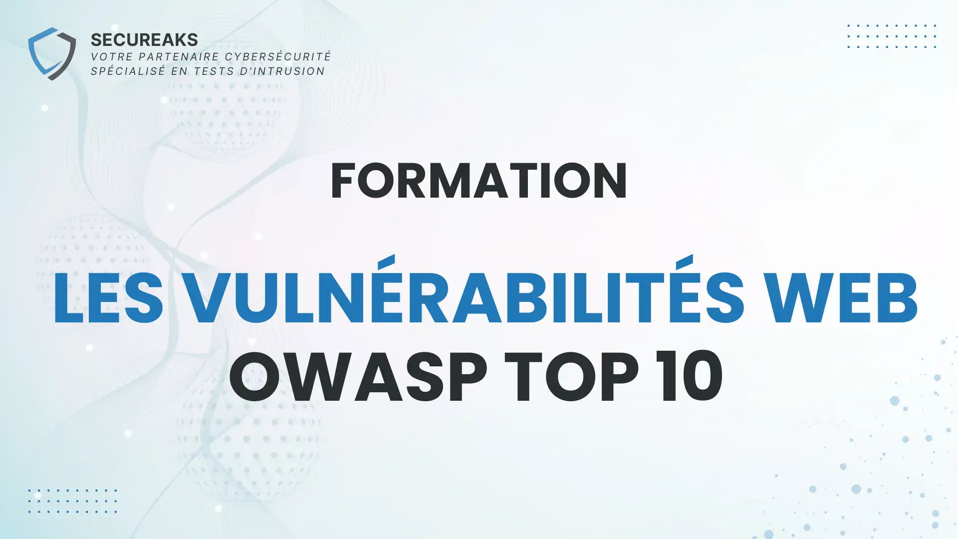 Les vulnérabilités web - OWASP Top 10 illustration