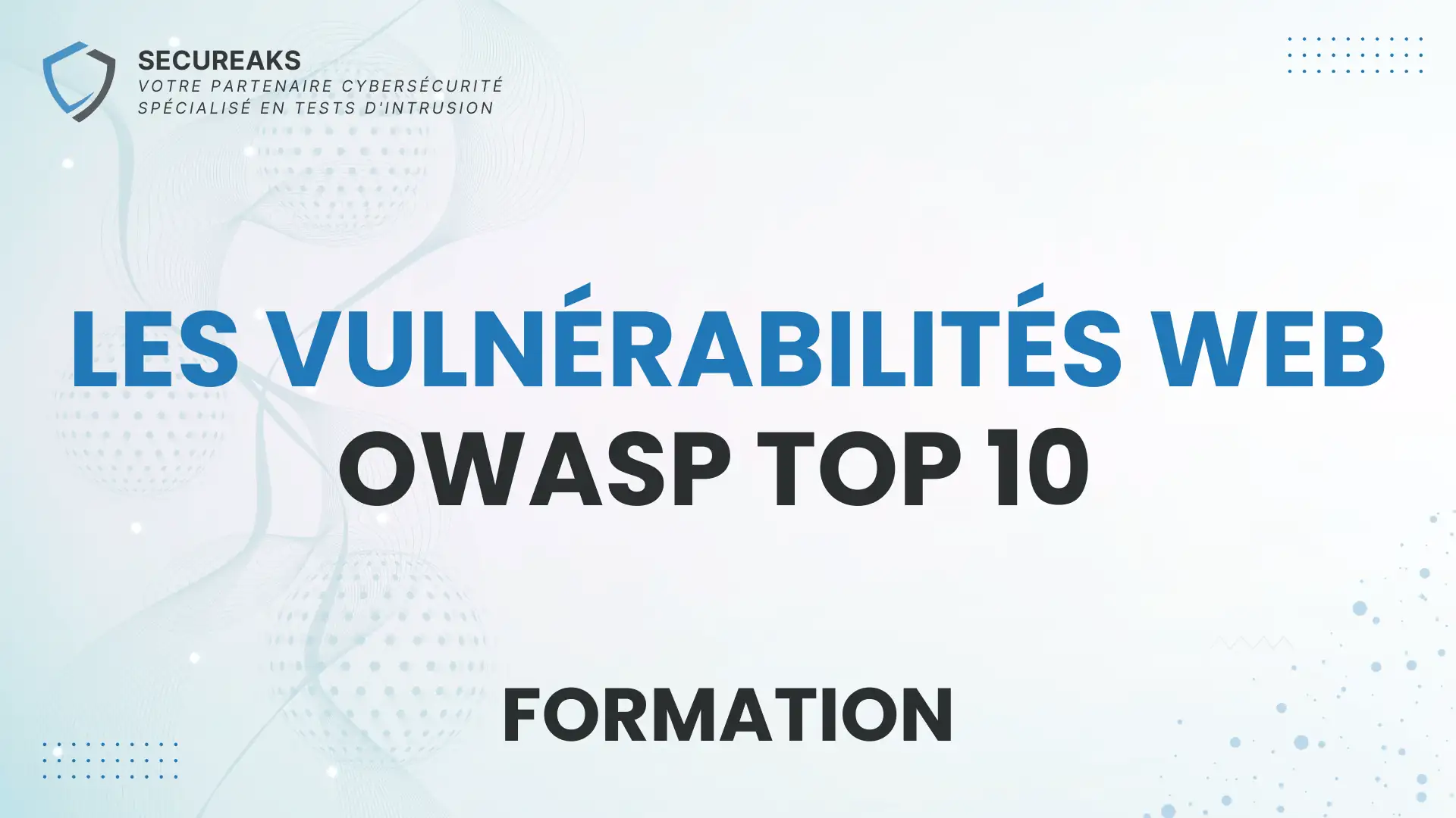 Web vulnerabilities - OWASP Top 10 illustration